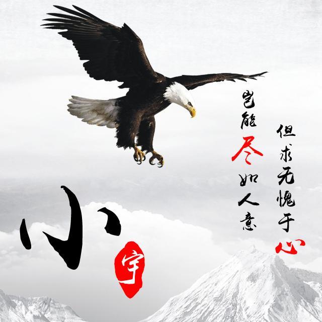 45款鹰主题壁纸,13个不同版本,有鹏程万里,有大展鸿图