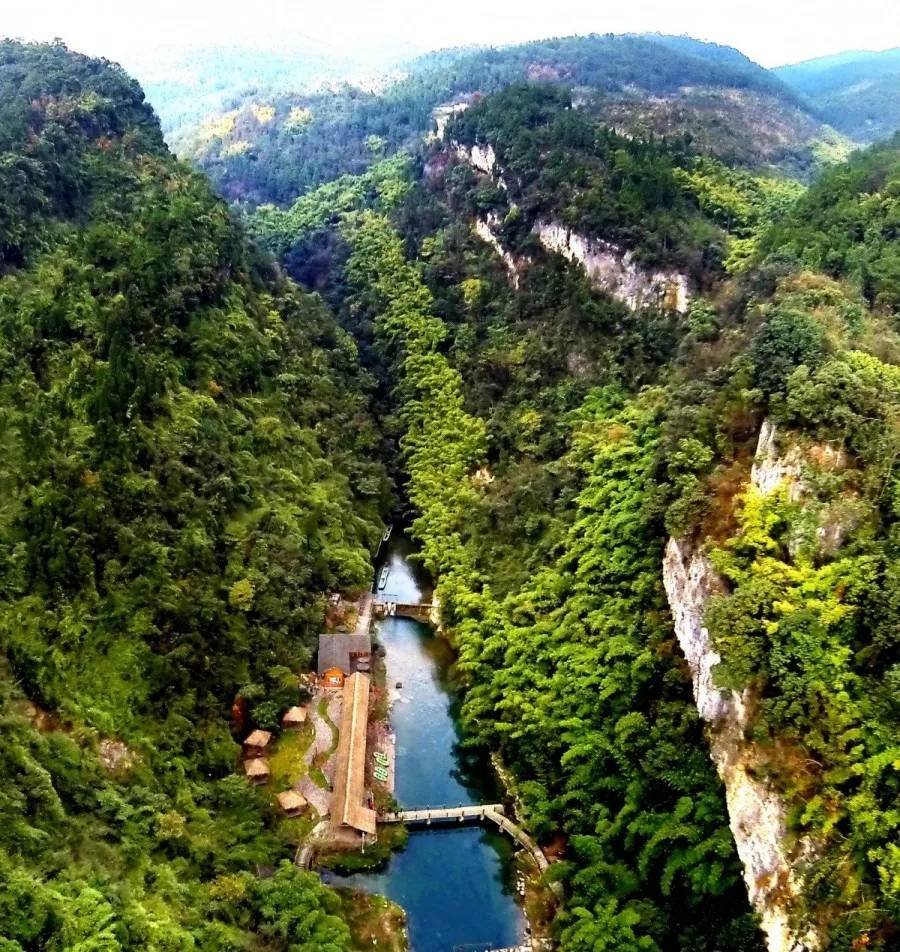 春已来,樱花开,3月9日我在金刀峡等你