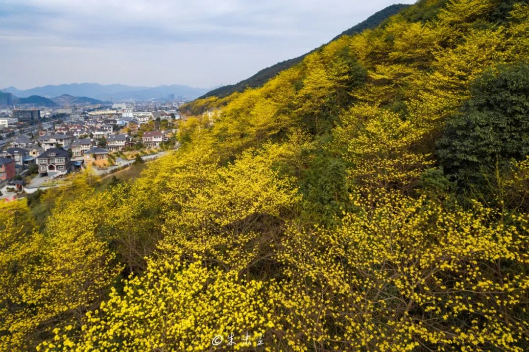 富阳区现有人口_富阳区地图