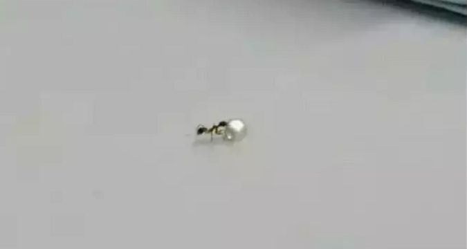 faa06a21a0fa49e4b8fd745a612613a1.jpeg