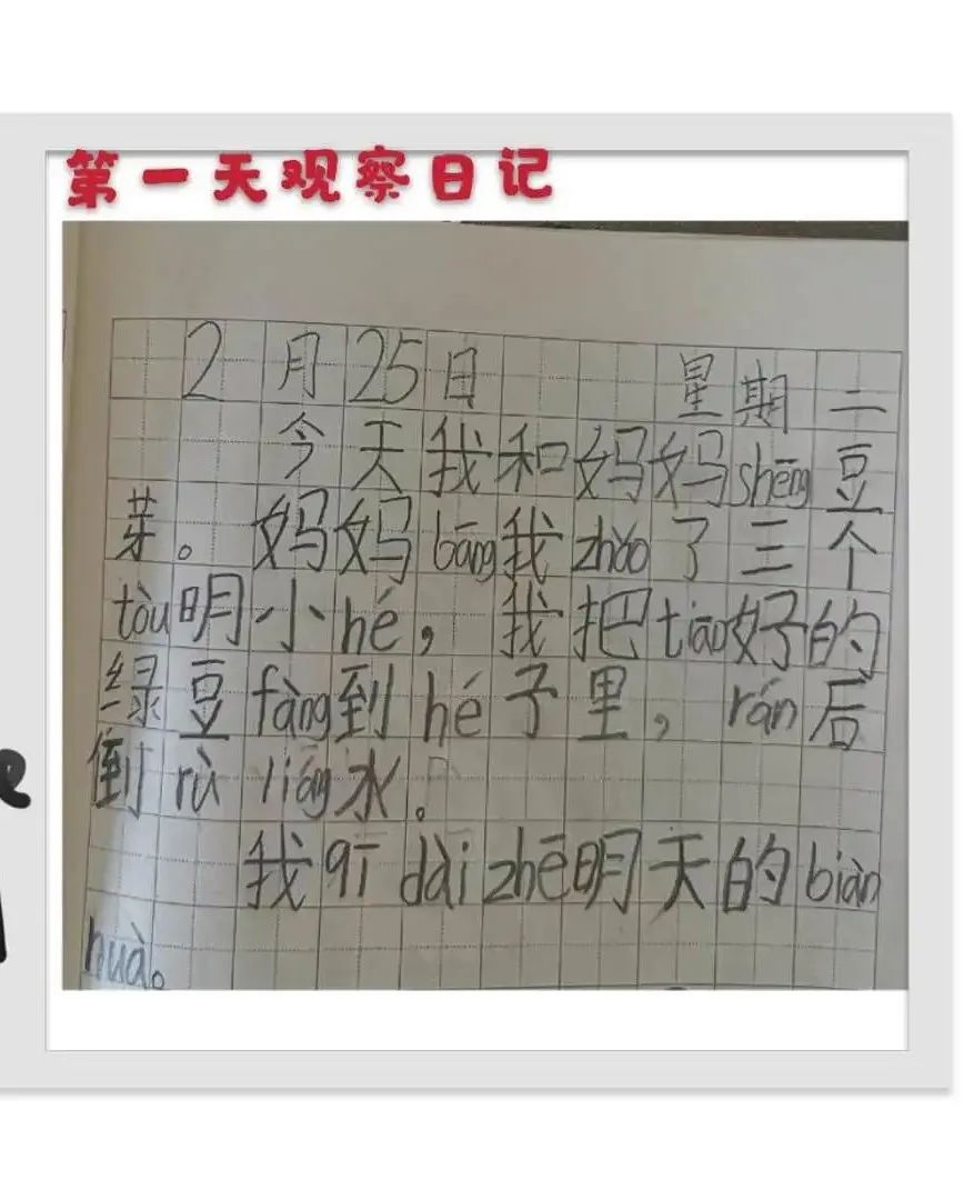 简谱豆芽_小豆芽芽儿歌简谱(2)