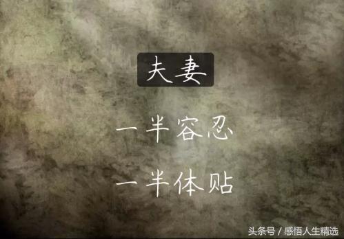 一半,一半,一半,一半,一半