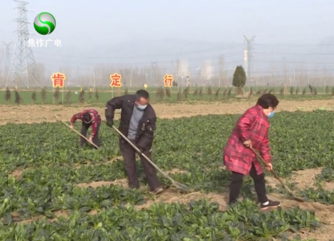 沁阳市紫陵镇各村GDP_地名文化 沁阳市紫陵村村名起源