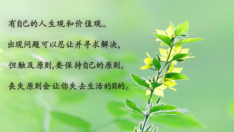 2c0088a7238c4323a65fa0d692e05464.jpeg