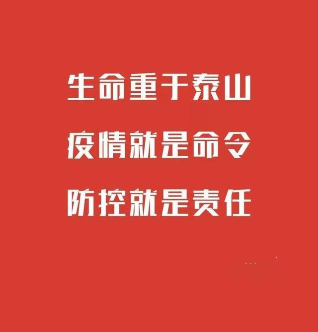 338bd6f1131b48a0acf64f5a4d807aa1.jpeg