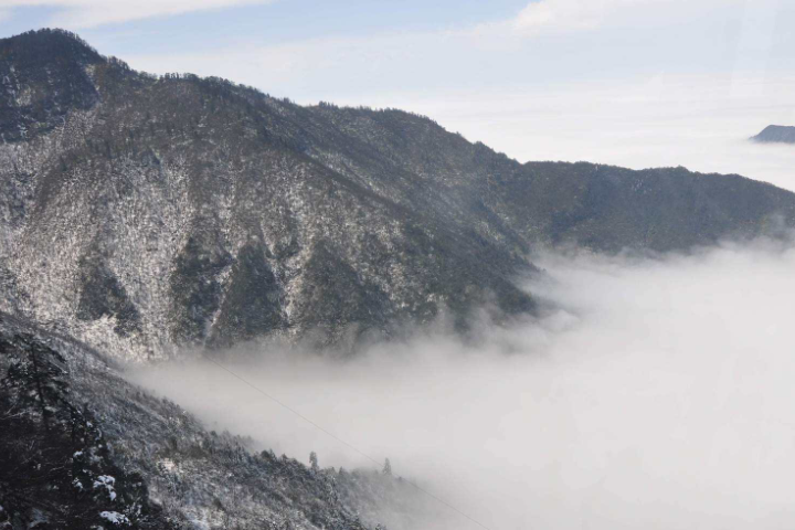灵异森林