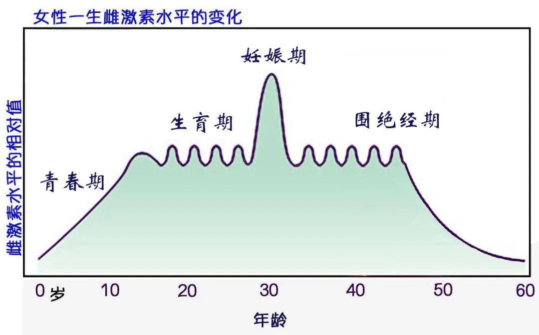 关注女性心理健康项目_女性心理健康图片_女性心理健康