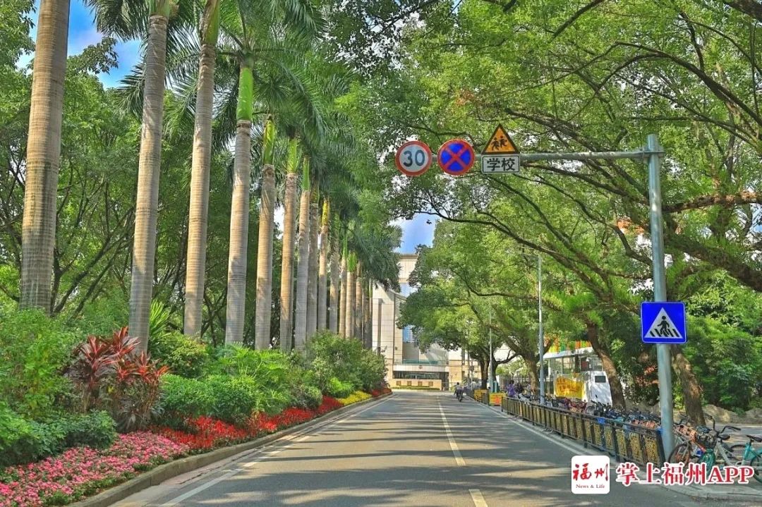 乌山路林荫大道