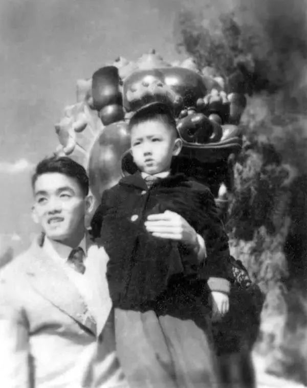 上官云珠诞辰百年韦然谈上官云珠与程述尧