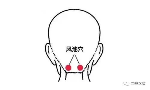 877d9e455a154a48a75dafdbd07f464e.jpeg
