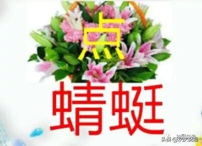 萝卜花树成语疯狂看图猜成语_看图猜成语(3)