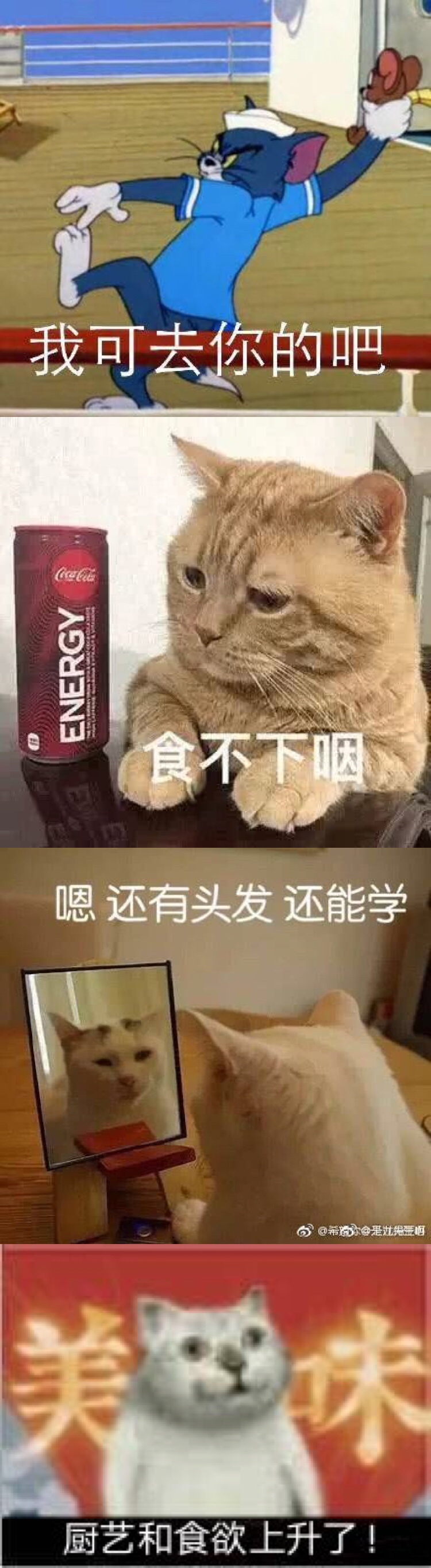 料理猫王疫情期间一只土猫的自我救赎附高清教学视频