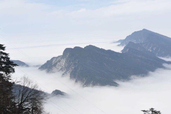 灵异森林