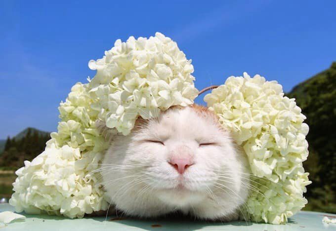 ˰ǿǵСĺ
