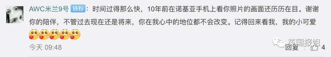 一只日本土猫的离世，为何让中国网友哭崩了