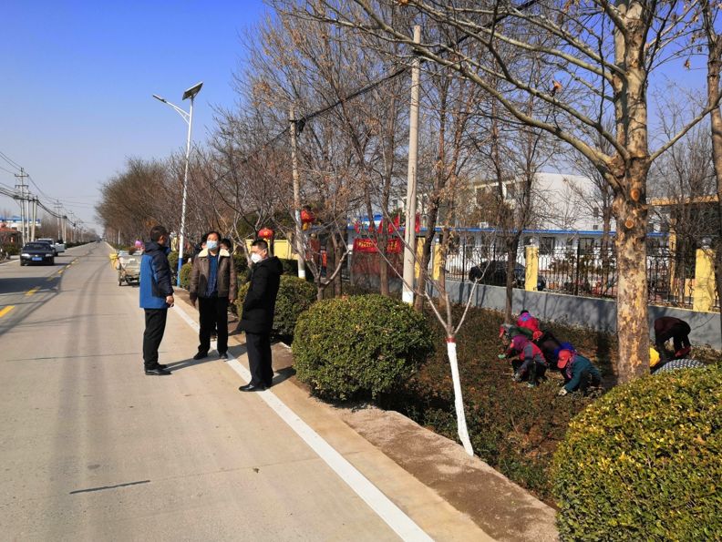 在临淄市政园林环卫事务服务中心查看资料