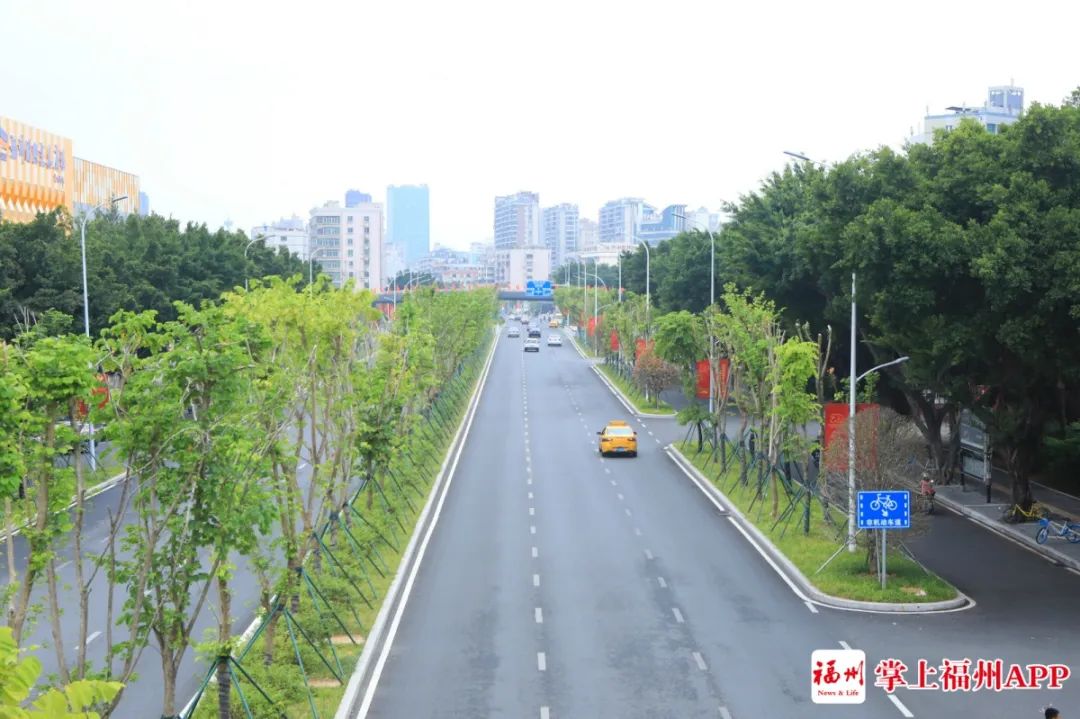 化工路林荫大道