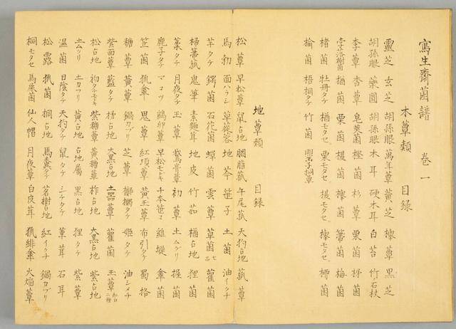 物种简谱_李宇春新物种简谱