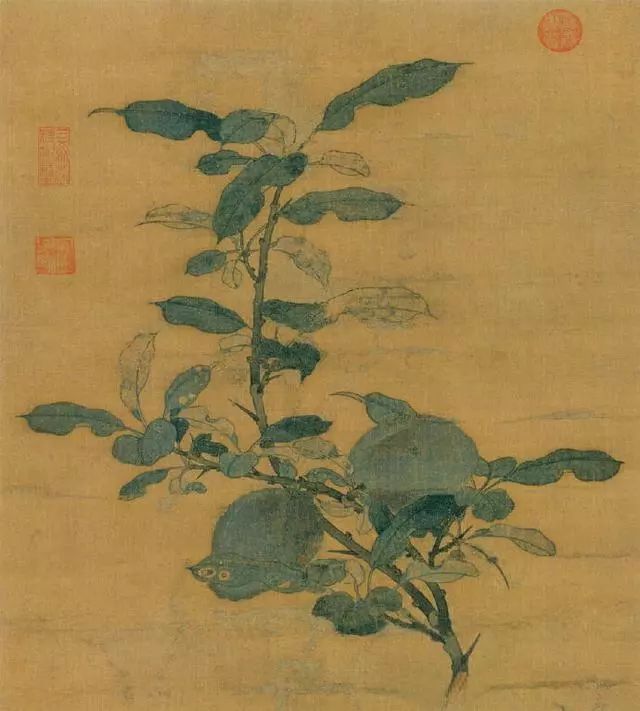 中国花鸟画的典范宋代花鸟画小品选粹