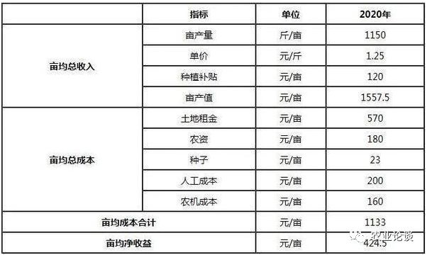 2020年东北地区人口_东北地区人口迁移图