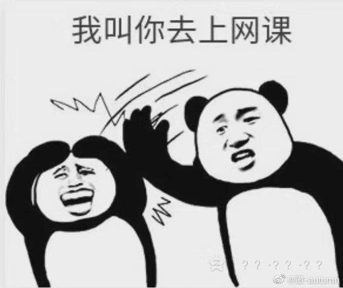 第一批上网课的厦门人已经被逼疯了
