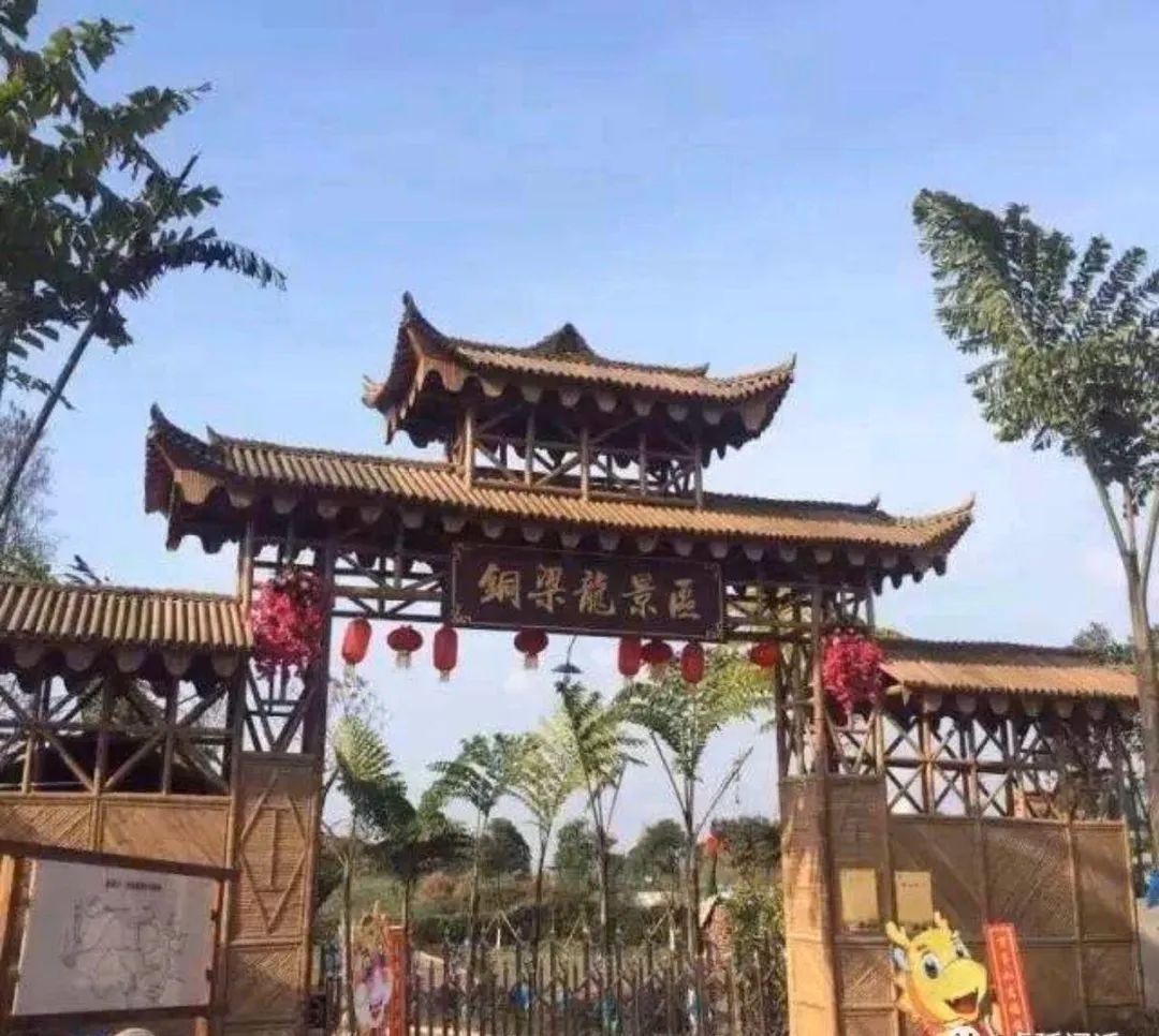 官宣:铜梁龙景区郁金香花海3月7日恢复开放!春暖花开
