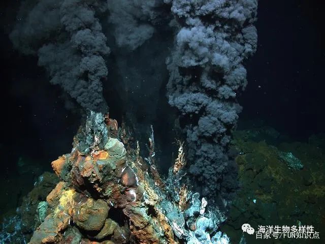 目前已知的海底热液喷口有大约150个,根据热液的温度,颜色和其中所含