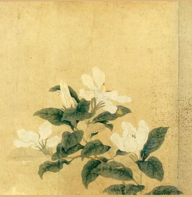 擅画山水人物和花鸟蔬果,最喜爱作折枝花卉