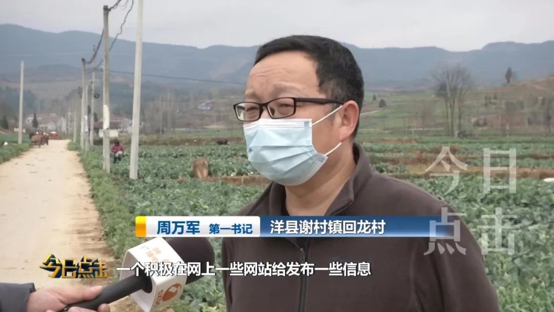 洋县:一手抓防控 一手组织生产,走近战"疫"中的第一书记
