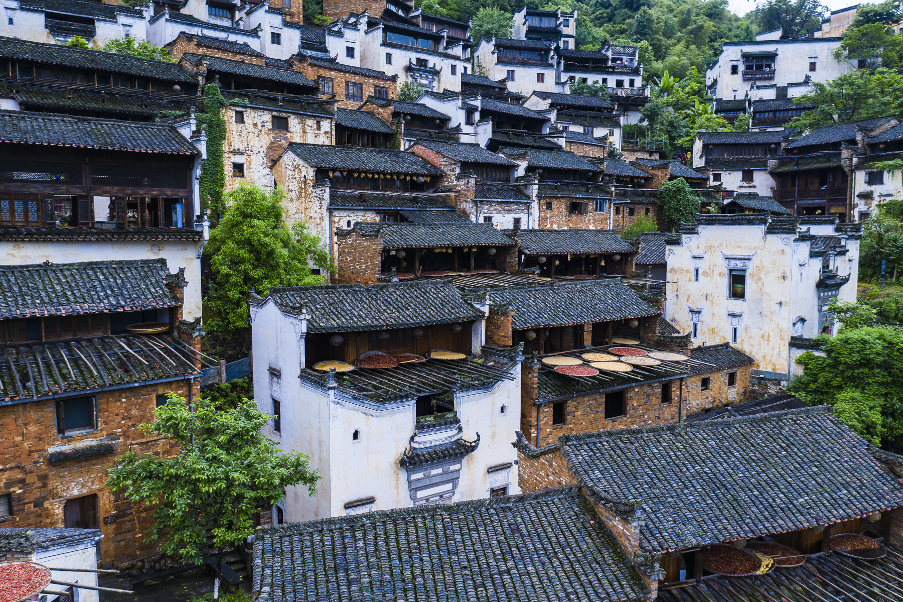 原创让摄影师疯狂的6个旅行地，梦幻梯田，油菜花海，随手拍都是大片