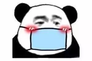 总、狗哥、小哪吒通通都在!还有二次元rua剧新