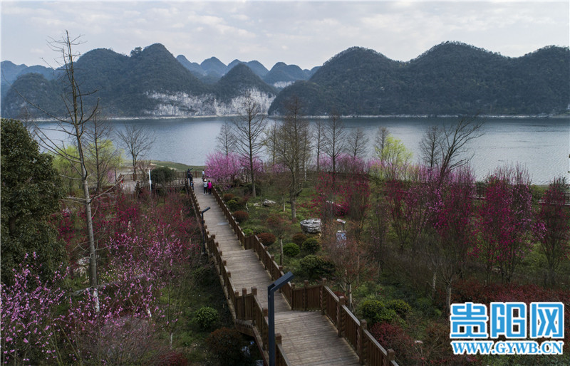 贵阳百花湖百花盛开山花烂漫正当时