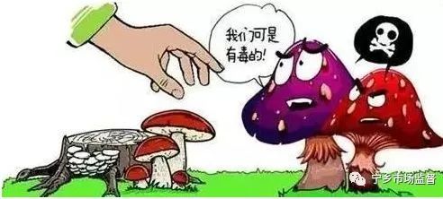 4ad75e2e37534b50a10645158d9c7f61.jpeg