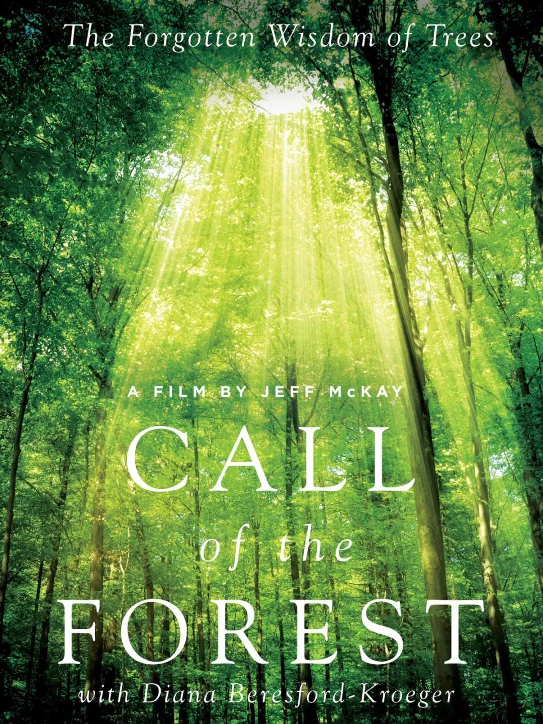 call of the forest: the forgotten wisdom of trees (2016)