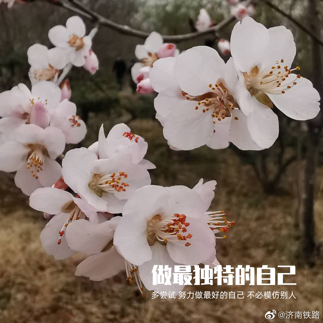 让我们一起做最独特的自己,又到周一啦,小伙伴们早安[心]