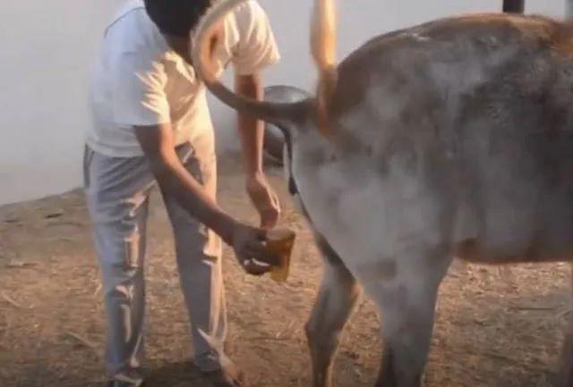 外国人来华治新冠，必须收费