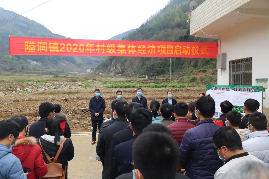 50个项目集中开工!东兰县149个村(社区)实现村集体实体经济全覆盖