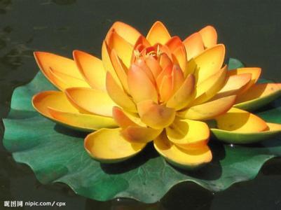 "东海龙王说的是,我本就是孤家寡人一个,所以才会利索果断,雷厉风行"