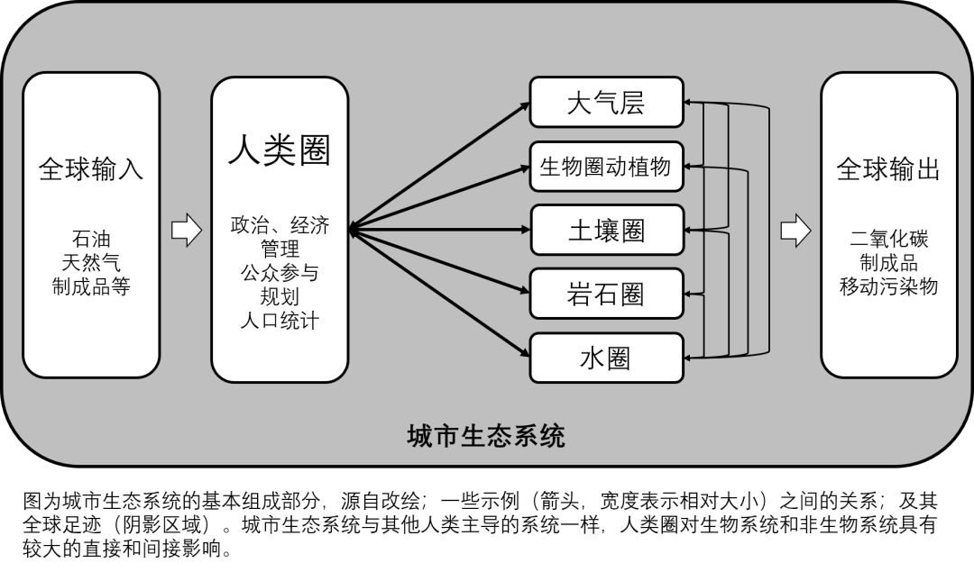 学术声音丨殷炜达从城市生态系统视角展望理想的健康城市