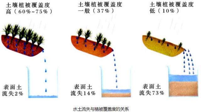 水土流失与植被