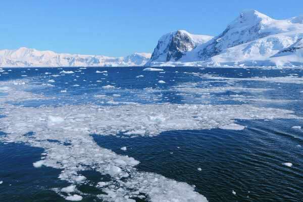 重庆疫情趋于乐观，又一个危及的灾难悄然而至