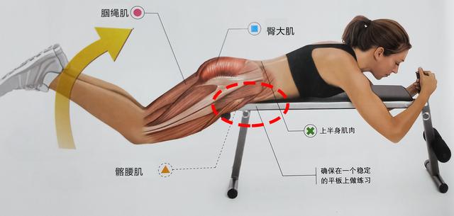 如下图是俯卧髋弯举:如果有些健身房没有上面的俯卧腿弯举的固定器械
