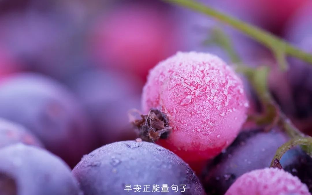 清晨的阳光唯美句子 清晨励志语录正能量