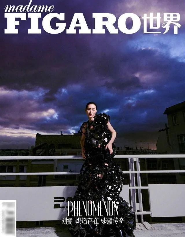 刘雯三月刊封面华美造型感受超模的百变面相_设计
