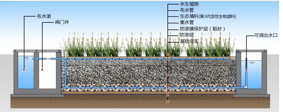 助力人工湿地生物滤料显身手