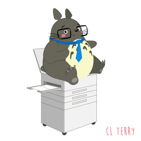 治愈系动漫丨来跟着敲萌的小龙猫一起扭扭扭叭~_terry