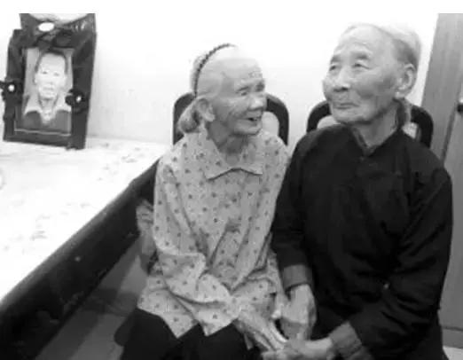 覆巢之下无完卵猜一成语_木猜一成语疯狂看图(2)