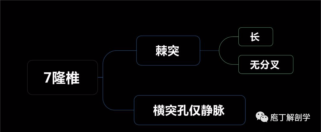 第3-7颈椎体上面侧缘向上突起称椎体钩.