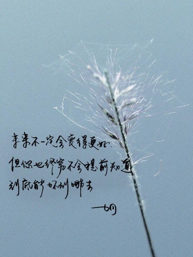 梦境中的邂逅，解读每晚梦见同一人的深层含义