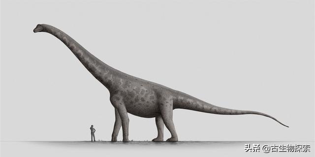 2020巨型蜥脚类恐龙排行榜神话篇